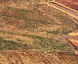 Location de voiture à Brindisi