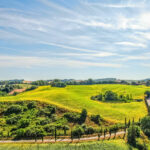 Les meilleurs vignobles et établissements vinicoles à visiter en Toscane